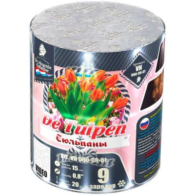 Тюльпаны Батарея салютов купить в Верхнеуральске | verhneuralsk.salutsklad.ru