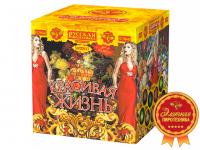 Красивая жизнь Фейерверк купить в Верхнеуральске | verhneuralsk.salutsklad.ru