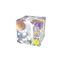 Новогодняя ночь Салют купить в Верхнеуральске | verhneuralsk.salutsklad.ru