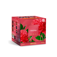 Пионы Салют купить в Верхнеуральске | verhneuralsk.salutsklad.ru