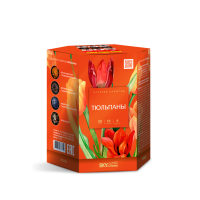 Тюльпаны Салют купить в Верхнеуральске | verhneuralsk.salutsklad.ru