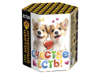 Счастье есть! Салют купить в Верхнеуральске | verhneuralsk.salutsklad.ru