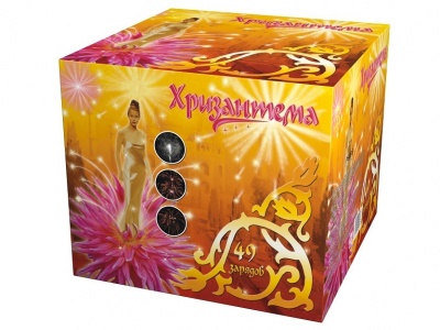 Хризантема Салют купить в Верхнеуральске | verhneuralsk.salutsklad.ru