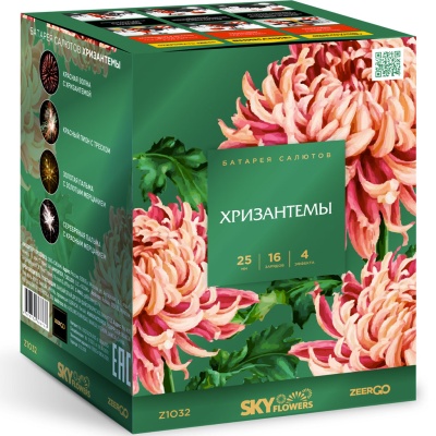 Хризантемы Фейерверк купить в Верхнеуральске | verhneuralsk.salutsklad.ru