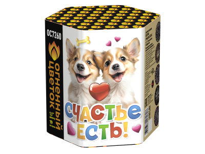 Счастье есть! Салют купить в Верхнеуральске | verhneuralsk.salutsklad.ru